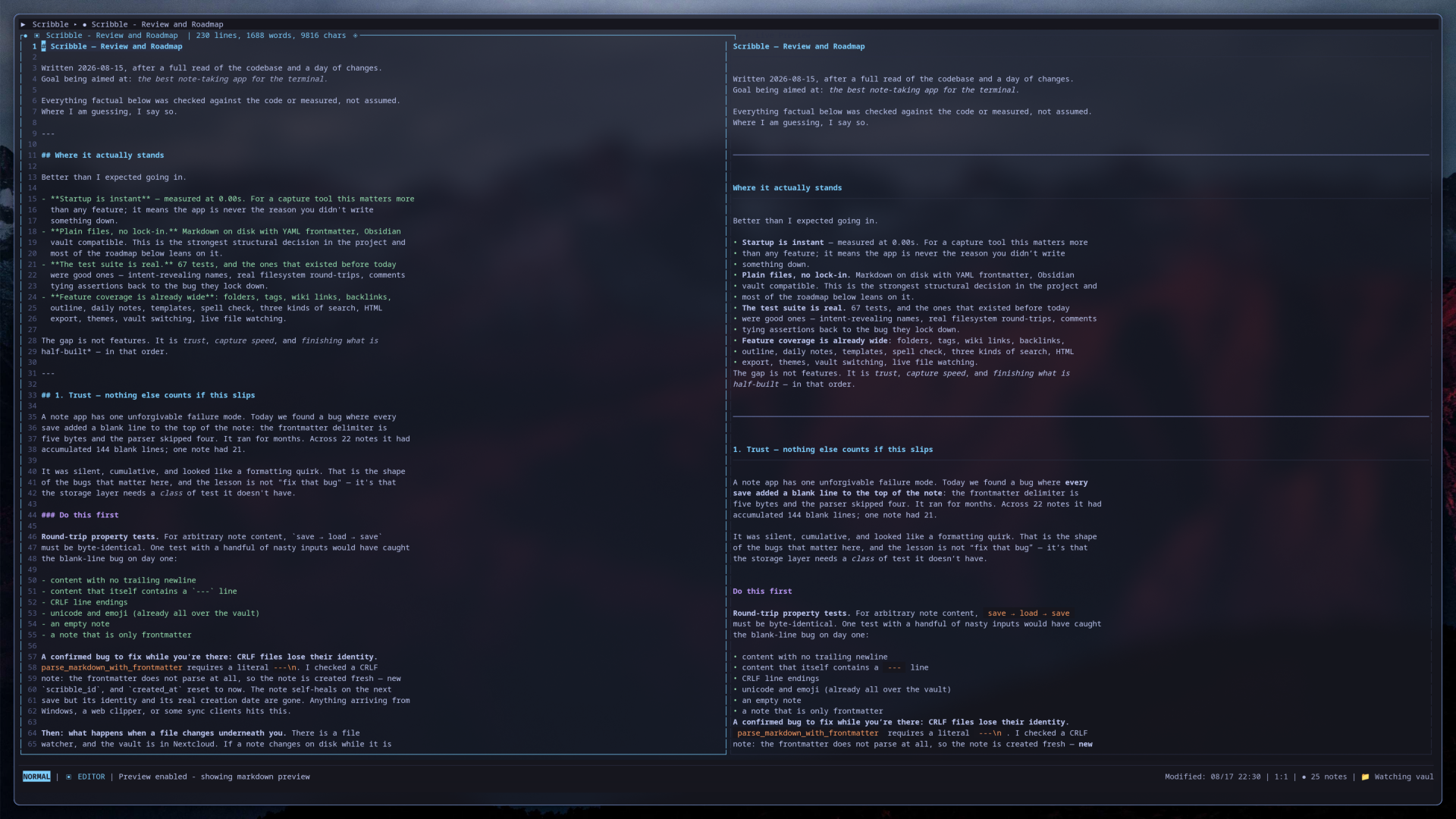 Editing a note in Scribble, with the live Markdown preview open beside it